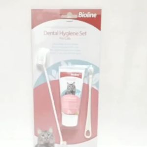 Junjun คุณประสบความสำเร็จ 10 ชุดการผลิตแมว ยาสีฟันแมว รสชีส ดับกลิ่นปาก ชุดให้ความสะอาดฟันแมว สำหรับการเปลี่ยนแปลงรูปแบบของแมวที่คุณต้องการ