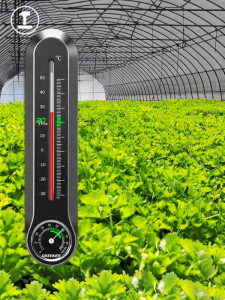 Greener | Thermohygrometer Treo Tường Chính Xác Dành Riêng Cho Nhà Kính Trồng Rau Trong Nhà