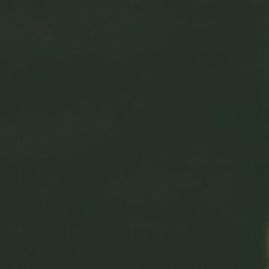 Neutrovis 4-Ply Premium Medical Face Mask 50s - Hunter Green