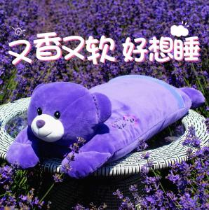 Đồ Chơi Gấu Hoa Cỏ Lavender Đệm Hỗ Trợ Giấc Ngủ Đệm Hình Gấu Dễ Thương Quà Tặng Xinjiang Cho Bạn Gái Vật Dụng Làm Đẹp Và Chăm Sóc Bản Thân