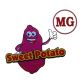 MG Sweet Potato