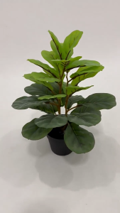 พร้อมส่ง ต้นไม้ปลอม ต้นไทรใบสักต้นเล็ก สูง 30ซม. 28 ใบ