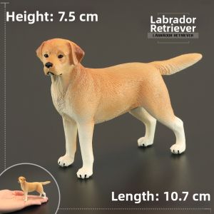 MENGSILE | Educational Toy Dog Model Labrador Retriever