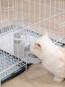 แขวนออกแบบ 1.6L Pet Feeder Pet Bowl เครื่องให้อาหารอัตโนมัติ เครื่องให้อาหารอัตโนมัติ เครื่องให้อาหารสำหรับสัตว์เลี้ยง เครื่องให้อาหารสำหรับสัตว์เลี้ยง เครื่องให้อาหารสำหรับสัตว์เลี้ยง