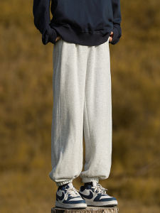 Gray Loose Fitting Boys Fall/Spring Casual Sport Pants