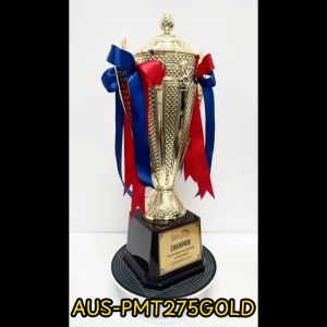 EXCLUSIVELY Assembled Plastic Makeup Trophy AUS-PMT275 w/heavy base.