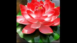 mcute ดอกบัวประดิษฐ์ เสริมฮวงจุ้ย แบบลอยน้ำ ตกแต่งบ้าน 10cm/17cm สำหรับตกแต่งบ่อปลา ดอกบัวมงคล