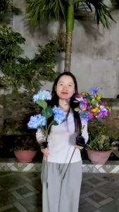 Đèn Trang Trí Năng Lượng Mặt Trời Hoa Cẩm Tú Cầu Pin 600mAh Sử Dụng Liên Tục Lên Tới 10h - DA3005