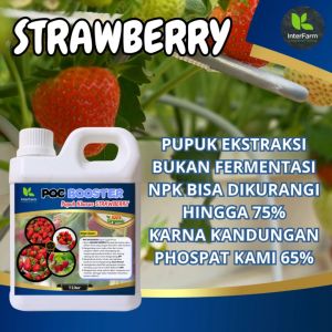 PUPUK Cair Organik INTERFARM Booster Rasa Strawberry untuk Tanaman Berbuah