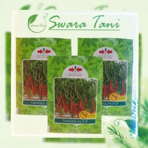 Benih Cabe Merah Keriting TANGGUH F1 isi 2.000 biji Cap Panah Merah