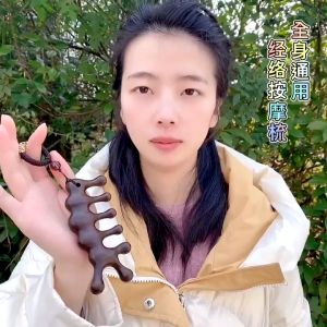 Anti Static Sandalwood Scalp Comb Multifunctional Meridian Massage Head Health Comb Sandalwood Large Wide Tooth Relax the shoulder Body Care Tool