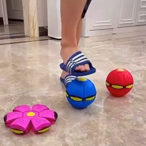 Magic Flying Saucer Toy: A Fun & Portable Pet Catch Toy