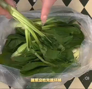 🥬 Premium Vegetable Wrapping Paper