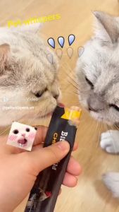 Súp Thưởng Cho Mèo Bite Of Wild 60gr dành cho mèo  - T3 PET SHOPS