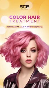 PAKET LENGKAP SDB Daily Color Care Protection Perawatan Rambut Warna Sehat Berkilau Alami Lembut