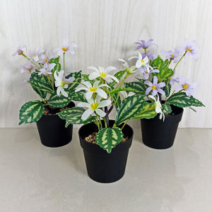 Unico PBP179 Tanaman Hias Plastik Pot Bunga Ornamen Pajangan Dekorasi Artificial Flower Buatan COD