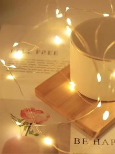 10/20/30M USB Fairy String Lights LED Copper Wire Lights With 8 Lighting Modes Remote Control For Bedroom Garden Festival Decor