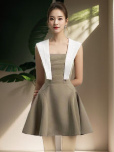 Vintage Color Block Sleeveless Luxe Waist Dress