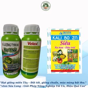 BO THÁI CHUYÊN DƯA HẤU  | phân bón tăng đậu trái thụ phấn to trái hạn chế thối lát