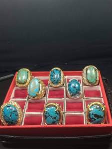 CINCIN batu virus