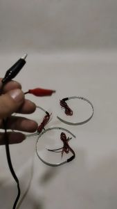 Lampu LED Devil Eye Demon Eyes DE 360 Derajat Projector HID BILED