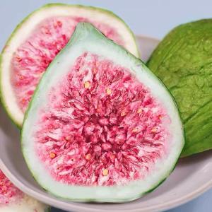 Quả Sung Sấy Đông Dried Fruit Slices Trang Trí Bánh Snacks