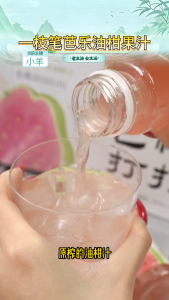 [Yi Zhi Bi] BaGanDaDa Guava Amla Juice Drink 245ml x 10 Bottles Singapore