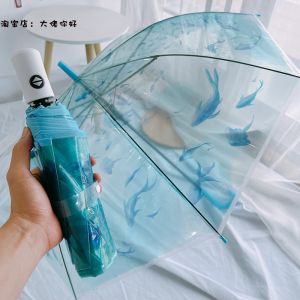 Transparent Aquarium Ocean Three Fold Umbrella Automatic Straight Handle Folding Children Adults Sea Urchin Whale Photography: A Comprehensive Guide