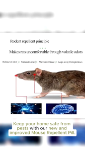 10PCS Mothball Repellant for Rats Mouse Repeller Rat Killer Mothballs for Rats Efficient Insect