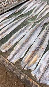 500gr Khô Cá Hố Tẩm Ớt Cay Nướng Thơm Ngất Vị Nhạt Không Mặn Vừa Ăn- ĐẶC SẢN MINH TRIẾT