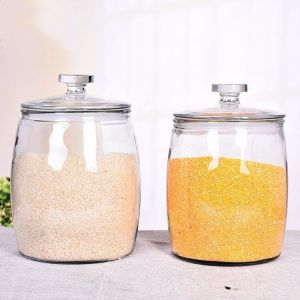 Ultimate Guide to 5KG & 10KG Rice Containers: MoistureProof & InsectProof Storage Solutions