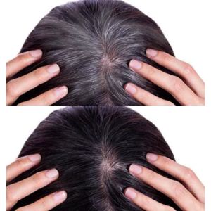 【Buy 2 Get 1 Free】FAIR KING One-Time Hair dye Instant Black Root Coverage Hair Color Modify Cream Stick Temporary Cover Up White Hair Colour Dye Treatments