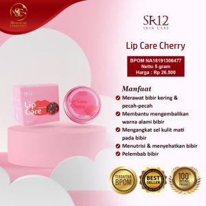 BEST SELLER !!! LIP SCRUB SR12/ LIPCARE SR12 ORIGINAL / LIP GLOW SR12/ HERBAL / BPOM / PELEMBAB BIBIR / BIBIR KERING / PECAH PECAH / HITAM