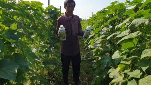 ปุ๋ยน้ำลาวา(LAWA) 1 ขวด 500 cc. มีธาตุอาหารพืชครบจบในขวดเดียว มีฮอร์โมนพืช ช่วยสร้างการเจริญเติบโตให้กับพืชโตไวได้ทุกส่วน