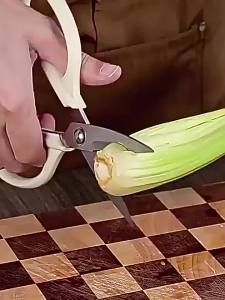 SHI BA ZI ZUO | Flower Art & Pruning Garden Scissors