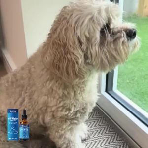 Pet Skin Care Drops Moisturizing Relieve Itching Improve Dryness & Roughness Natural Pet Skin Relief Drops Skin & Coat Support