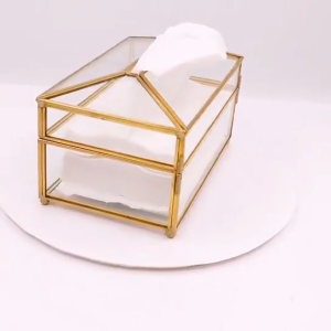 Glass Mirror Luxury Tissue Box Golden Brass Metal European Royal Style 金属框玻璃纸巾盒