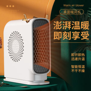 Mini Electric Heater Portable Home Heating Fan Fast Heating Warm Fan 220V Desktop Fan for Winter Household Bathroom Student Dormitory Low Noise Warm Air Blower