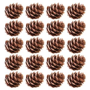 20Pcs Natural Pine Cones for Pet Rabbit Hamster Chew Toys DIY Christmas Wedding Home Decor Crafts Decorative Pinecone Craft Supp