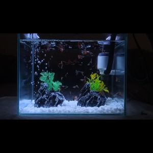 Batu Buatan Dekorasi Aquarium (MODEL D) Unik Hiasan Aquarium Tebing Batu Aquascape Tanaman Air Buatan  Sintesis Ornamen Murah Aksesoris Akuarium TIPE D1