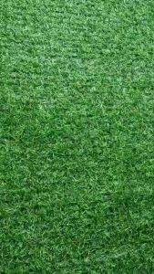 Cỏ nhân tạo trang trí sân vườn rộng kt 20304050 cm  x dài 2m cỏ nhựa lót giàn bông lót kệ bán hàng
