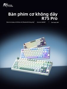 RK | Customizable Wireless Mechanical Keyboard Bluetooth Tri-Mode Hotswap Gasket