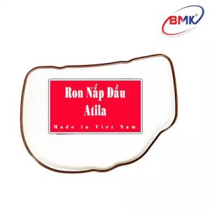 Ron nắp chao đầu quy lát cho xe máy SYM Atila đời đầu - Combo 2 Hoặc 3