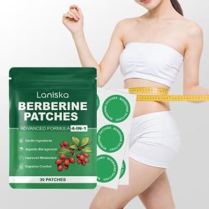 Jaysuing(简素净) | LANISKA 1/3/5bag Berberine Patches for Improving Skin Appearance and Body Vitality Advanced Formula Herbal Care Stickers 30Pcs