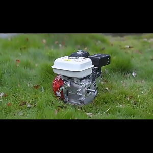 Gas Engine Portable 9.5HP/7.5HP Four Stroke High Speed Air Cooled Gasoline Engine Power 170F Energy And Fuel Saving High Quality