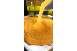 CORN VALLEY (YELLOW CORN)