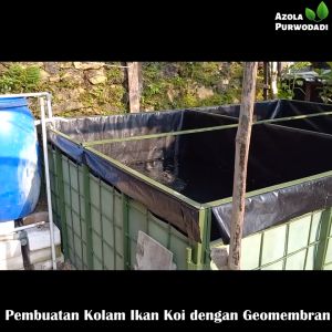 Plastik HDPE Geomembran 300 micron 6 x 6 meter untuk kolam / tambak
