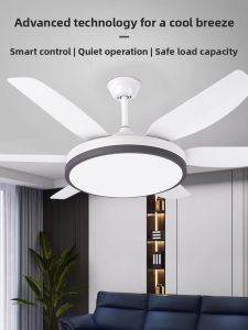 Chigo | Quiet Variable Frequency Ceiling Fan Light