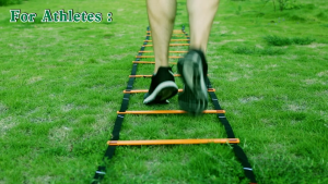 Agility Speed Ladder/Alat Latihan Sepak Bola/Latihan Atlit Tangkas