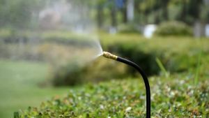 5M-30M 8MM Outdoor Nebulizers Garden Sprayer Misting Cooling System Push Lock Brass Mist Nozzles for Patio Terrace Greenhouse